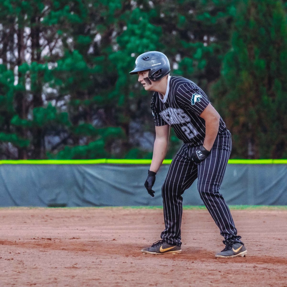 Willie_Prince_Kennesaw_Mountain_baseball.118